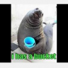 FabulishWalrus