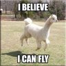 BestllamasCP