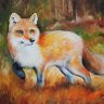FoxyTheDerpyFox