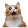 REQ_HAM