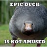 MCFinestDuck