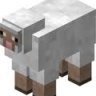 Mrsheepfromhell