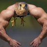 AaronYegg