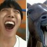 JHorse