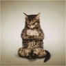 xXsomebody1Xx