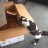 mittycat