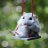 _Hamster_Boy_