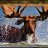 Tiger~or~Moose
