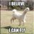 BestllamasCP
