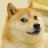 TyriTheDoge