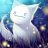 Katze