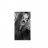haylee