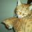 Teja_Lovegood