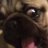 Alexpugz