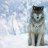 CheanadaWolf