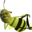 apotato