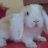 Nath_SoM