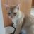 millylilly443